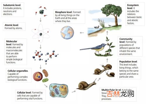 生物学是研究什么和什么的科学,生物是研究什么和什么的科学