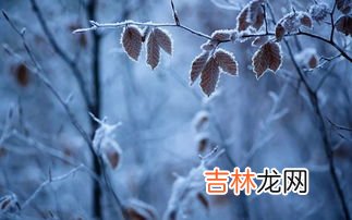 霜降后面是什么节气,霜降下一个节气是什么时候