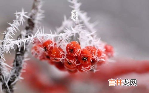 霜降后面是什么节气,霜降下一个节气是什么时候