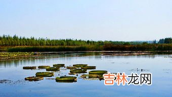 中国五大淡水湖,中国几大淡水湖分别是什么