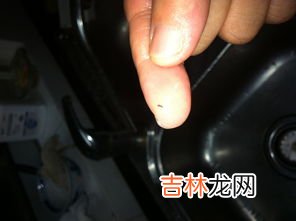 蚂蚁怕什么,蚂蚁怕什么