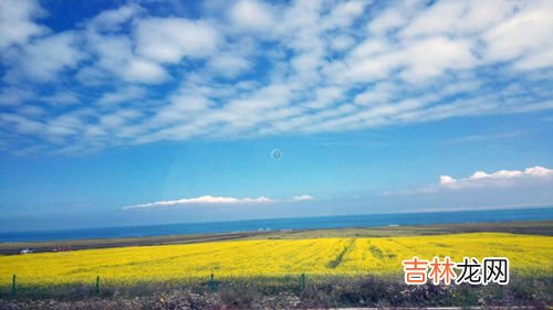 青海湖的鱼为什么不让捕捞,青海湖水中含氧量极少，浮游生物极少，为什么水中又有大量的鱼类？