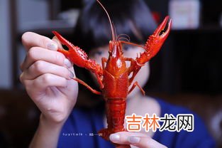 小龙虾为什么那么贵,小龙虾为什么这么贵