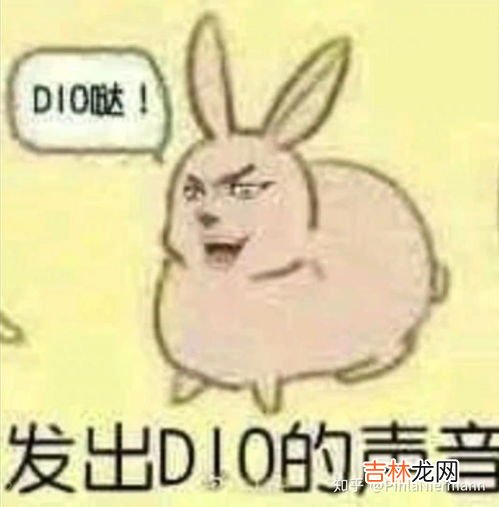 dio哒是什么意思,口头哇路是什么意思?