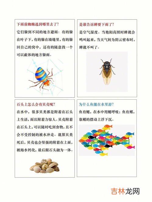 天上为什么会有彩虹,天空出现彩虹的原因?