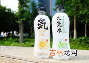 元气森林气泡水是碳酸饮料吗,元气水是碳酸饮料么