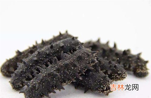 干海参如何保存,干海参的存放方法和注意事项,干海参怎样存放