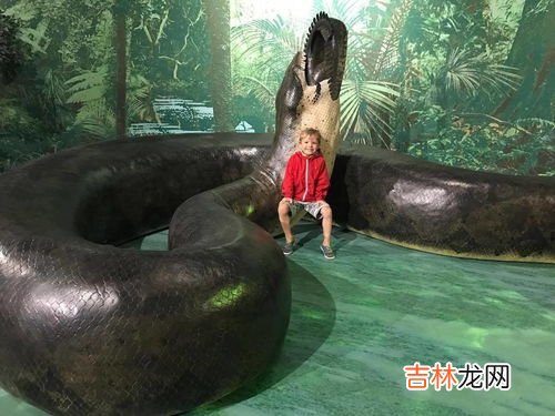 蟒蛇为什么要渡劫,蛇活久了为什么雷会劈 关于蛇渡劫有哪些传说