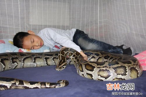 蟒蛇为什么要渡劫,蛇活久了为什么雷会劈 关于蛇渡劫有哪些传说