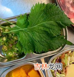 猪护心肉是什么部位,猪的围心肉是哪部分