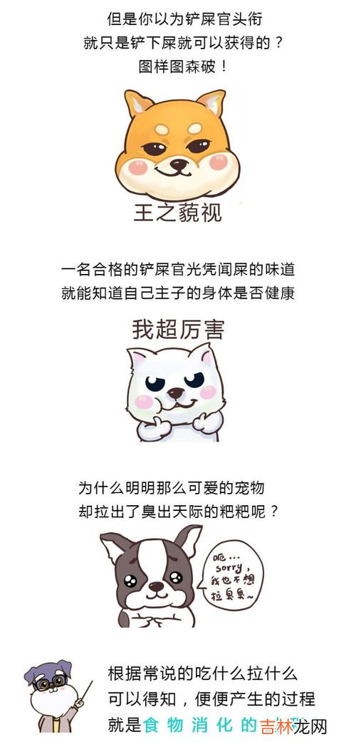 为什么拉屎那么臭,拉屎臭是因为什么？