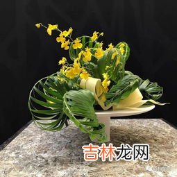 花的象征意义,花的象征意义