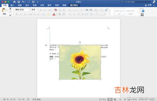 word怎么自由裁剪多余的,如何裁剪Word中的图片
