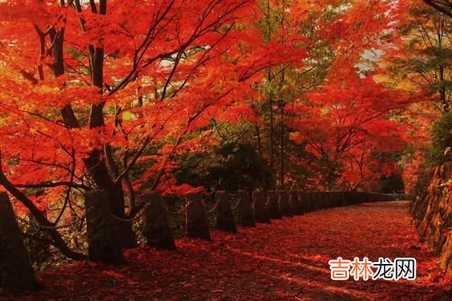 日本寓意为希望的名字,羽生结弦名字的寓意是什么？