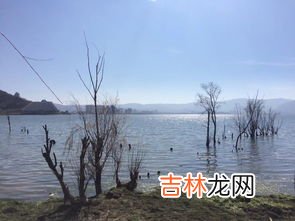 绕洱海一圈有多少公里,洱海环海多少公里