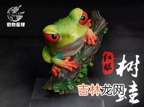 红眼睛的有哪几种动物,眼睛红红的动物
