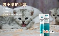 猫为什么掉毛很厉害,猫咪严重掉毛什么原因