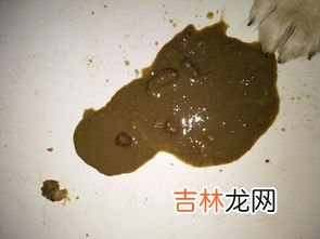 为什么会一直拉稀,老是拉肚子是怎么回事