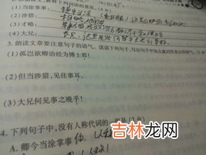 孙权劝学的启示,从《孙权劝学》中我们可以得到什么启示