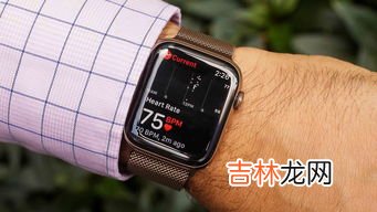 智能手表推荐：为你的手腕加入科技元素,智能手表推荐2022年最值得买