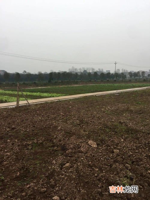 垫江县属于重庆哪个区,垫江位于重庆或处,具体在什么地方&#047;&#047;