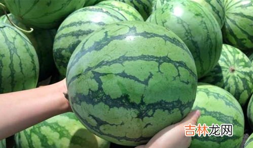为什么雨水多西瓜就不甜,雨水丰沛会影响西瓜吗?