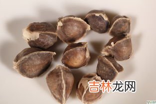 食辣木籽对冠心病有什么副作用,辣木籽的副作用有哪些