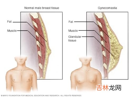 男生的乳头为什么会硬,男生乳头不硬的时候胸部就是软的，但有时候硬了就很有性，这是病吗？还是胖的原因，怎样让乳头一直是硬的