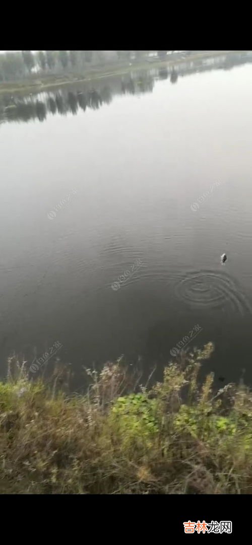 雨水干净吗,雨水干净吗?衣服被雨淋湿后得重新洗吗?