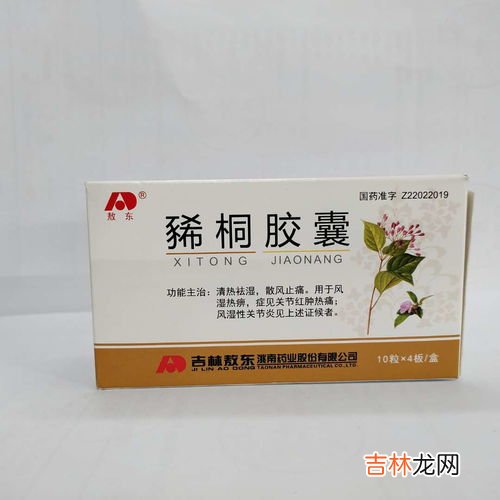 水蛭素胶囊的功效,水蛭胶囊