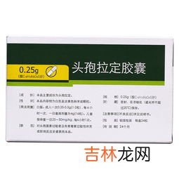水蛭素胶囊的功效,水蛭胶囊