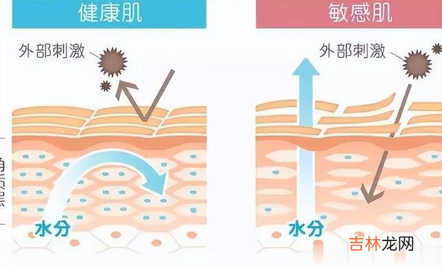 护肤 一到冬季就容易脸红，我们该怎么用护肤品保养？