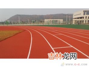 沈阳塑胶跑道品牌排行榜,求告知塑胶跑道十大品牌有哪些