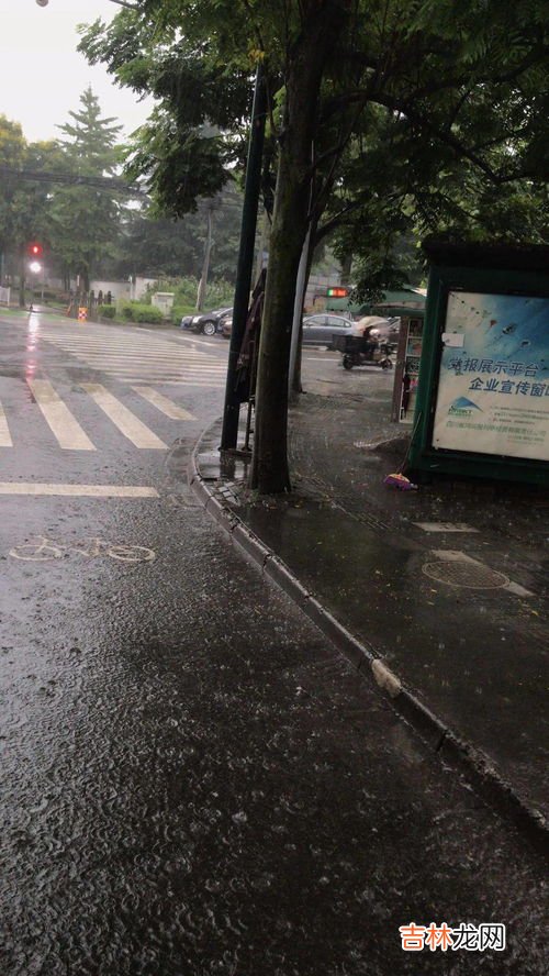 暴雨蓝色跟黄色有啥区别,暴雨预警级别的颜色分别代表什么？