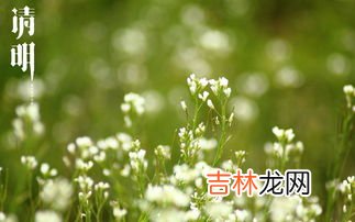 清明节的别称,清明节都有哪些别称