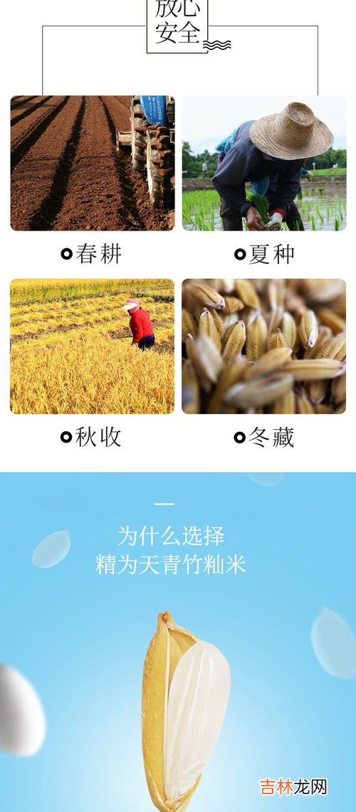 竹香米是什么,竹香米有什么功效 竹香米吃了有什么好处