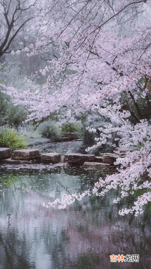 冬天来了春天还会远吗是谁说的,如果冬天来了春天还会远吗是谁写的