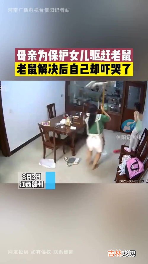 车里有老鼠怎么驱赶有效,车里进老鼠驱除办法