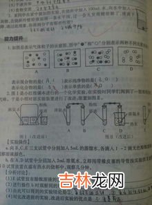 冰水混合物是纯净物吗,冰水共存物是什么？纯净物还是混合物？