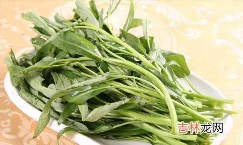 空心菜可以涮火锅吃吗,吃火锅需要的什么的蔬菜