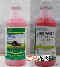 百草枯为什么被禁了,农药百草枯为什么不让用了?