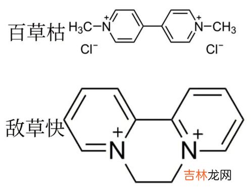 百草枯为什么被禁了,农药百草枯为什么不让用了?