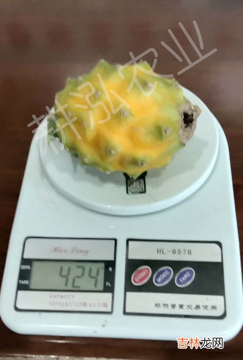 燕窝果为什么那么贵,燕窝果为什么那么贵