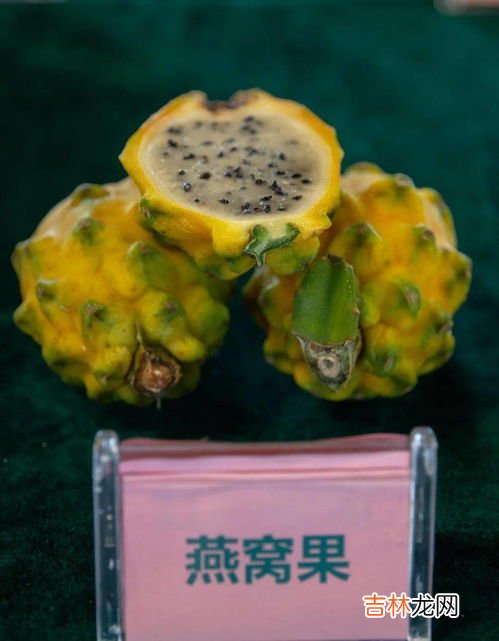 燕窝果为什么那么贵,燕窝果为什么那么贵