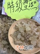 雪燕是什么,雪燕到底是什么东西 雪燕是什么东西