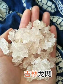 雪燕是什么,雪燕到底是什么东西 雪燕是什么东西
