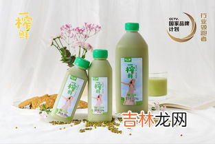 小麦饮料是啥,小麦汽水是什么东西?