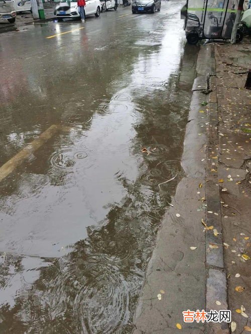 下小雨撒尿素可以吗,尿素施完下小雨没事吧？