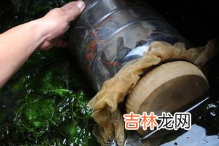 水蛭吸血后为什么死掉,水蛭能吸死人吗