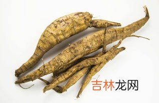 葛根什么作用,葛根的作用?